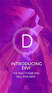 Divi theme mobile view