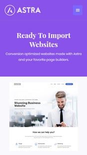 Astra theme mobile view