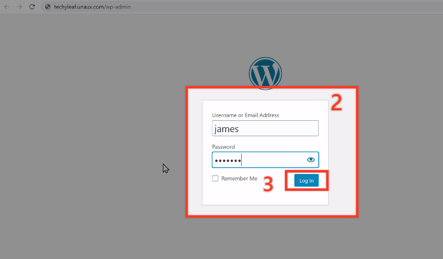 Enter login details to access WordPress