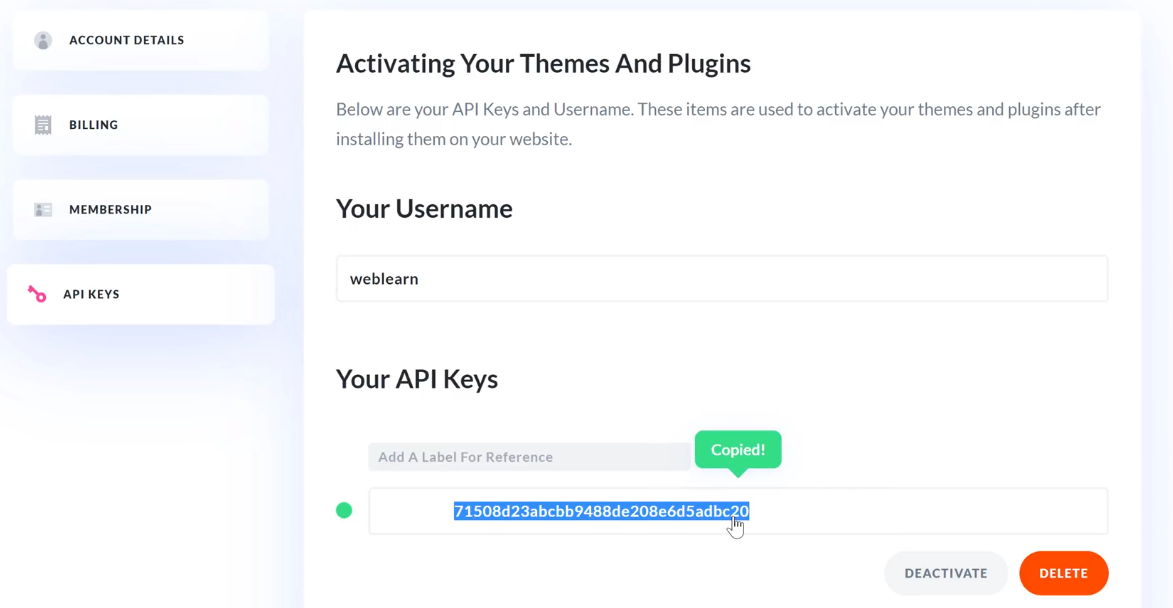 Copy the API key