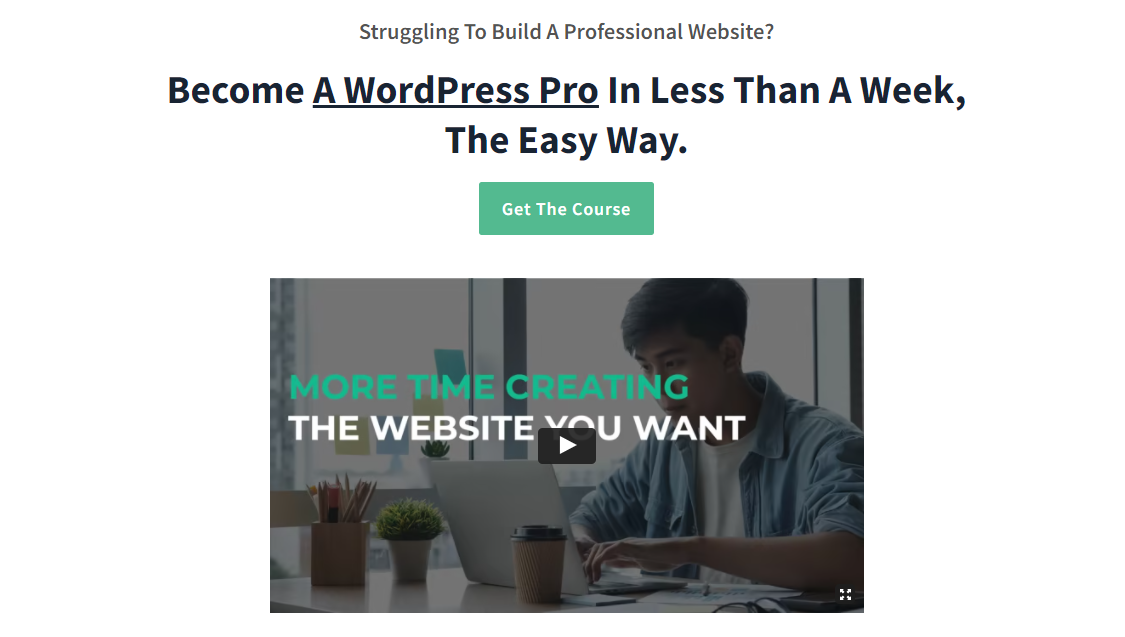 WordPress course by Website Learners